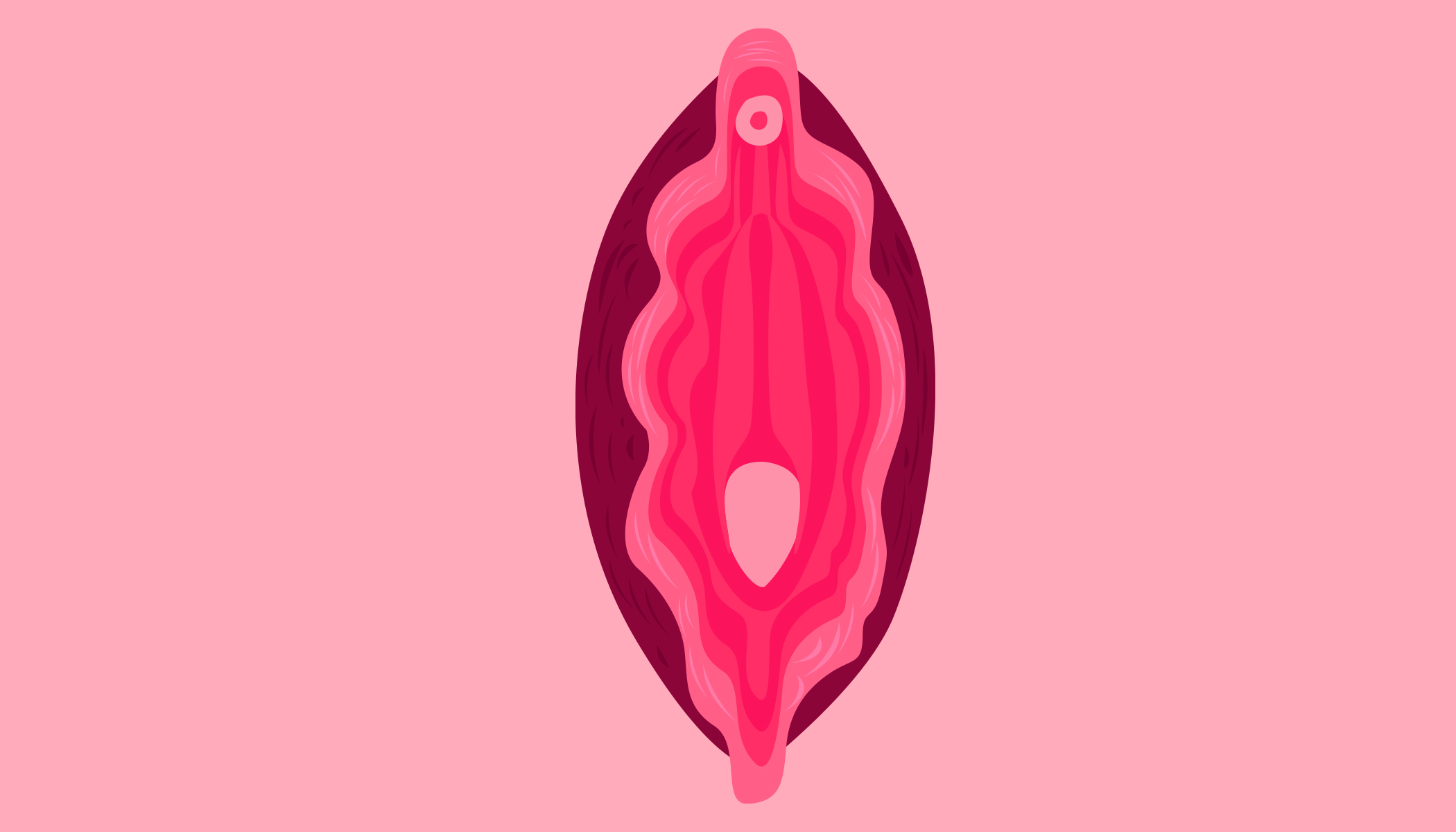 Mieux connaître le fonctionnement du clitoris